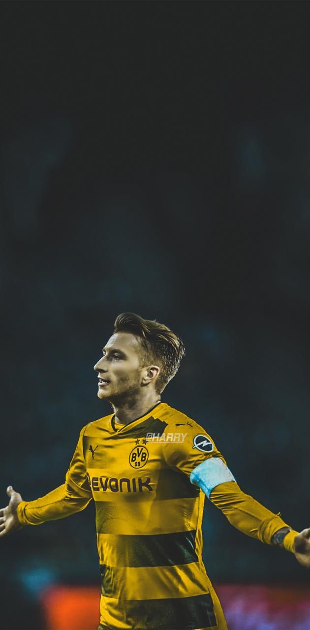 Fondo de pantalla de  630x1280