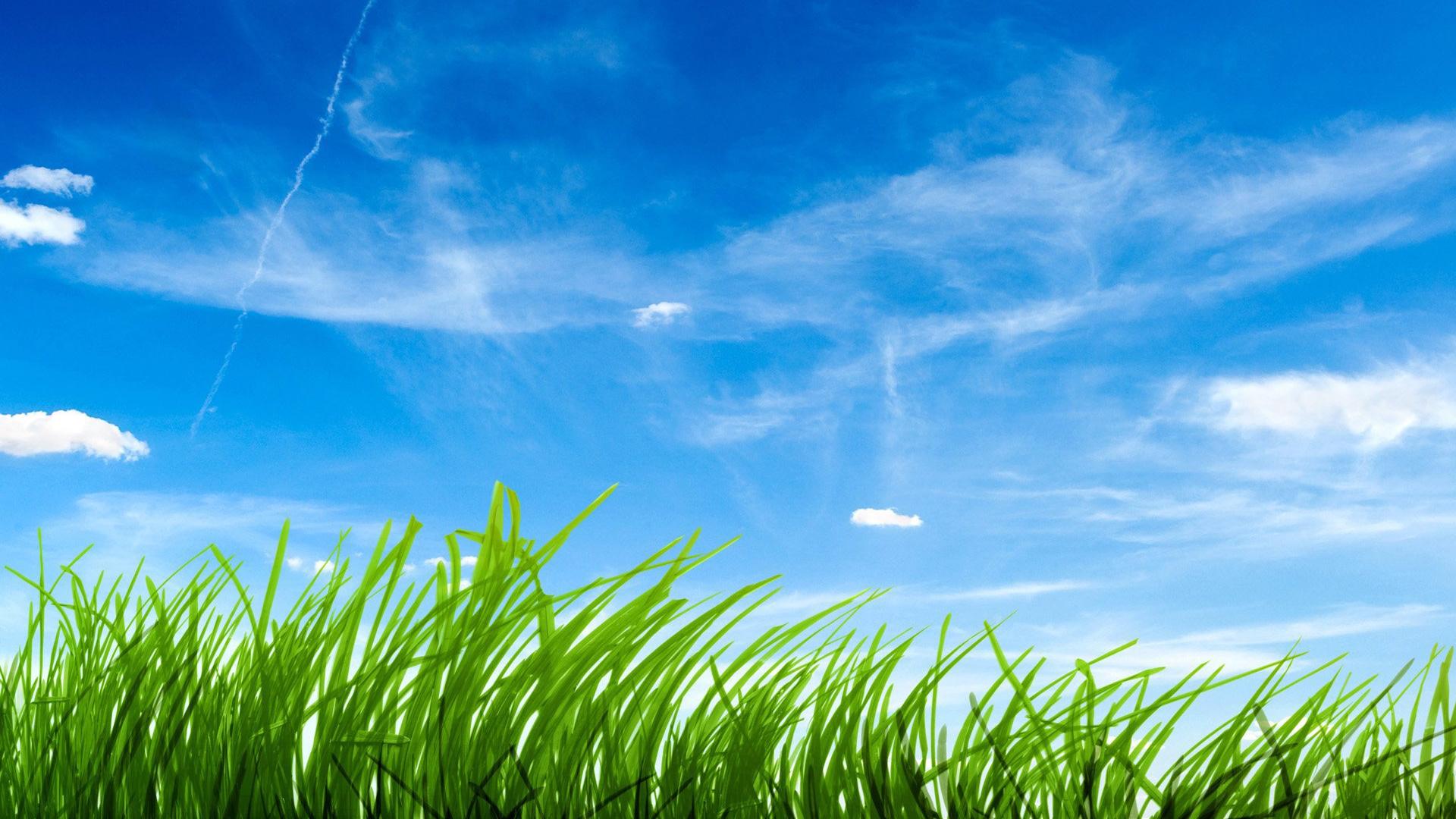 Fondo de pantalla de cesped 1920x1080