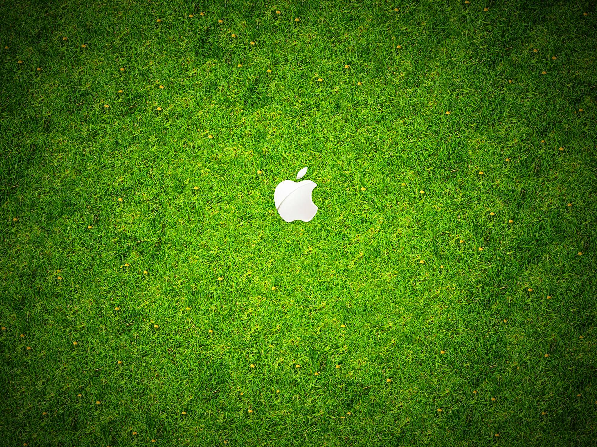 HD Grass Wallpapers