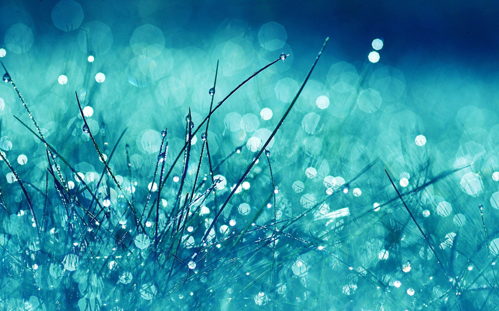 478 Grass Fondos de pantalla HD | Imágenes de fondo