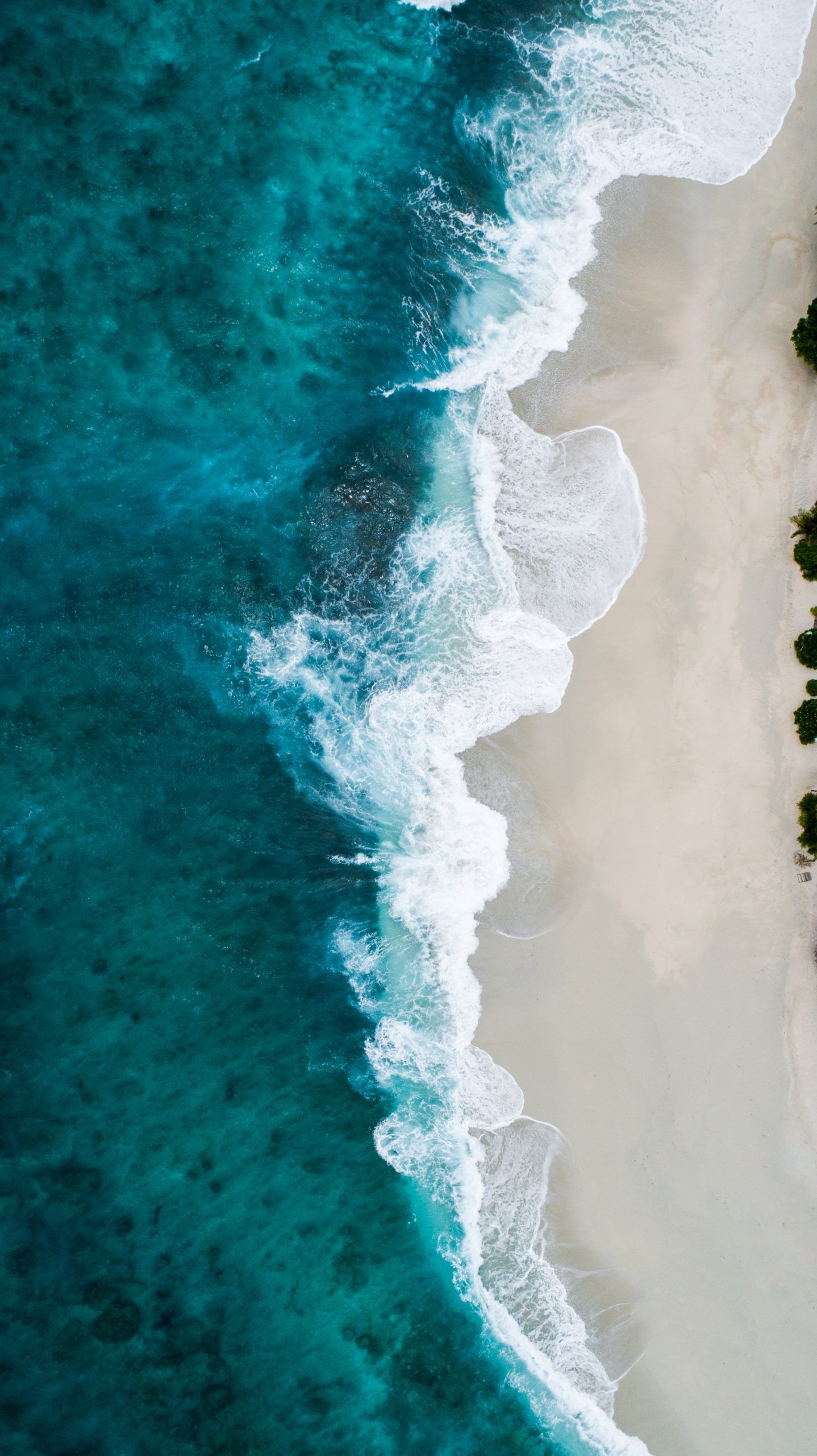 Fondo de pantalla de  1438x2560