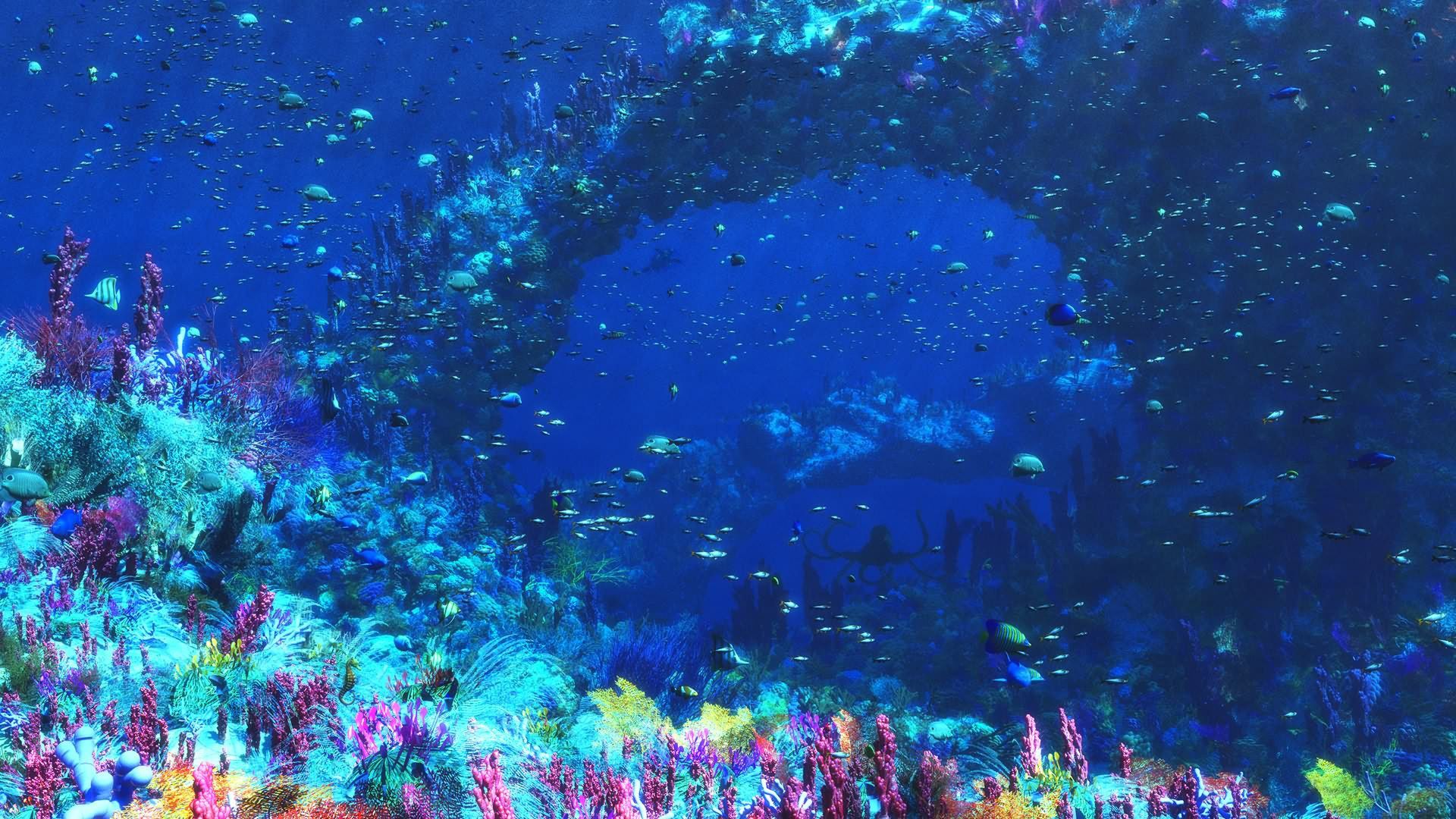 Fondo de pantalla de  1920x1080