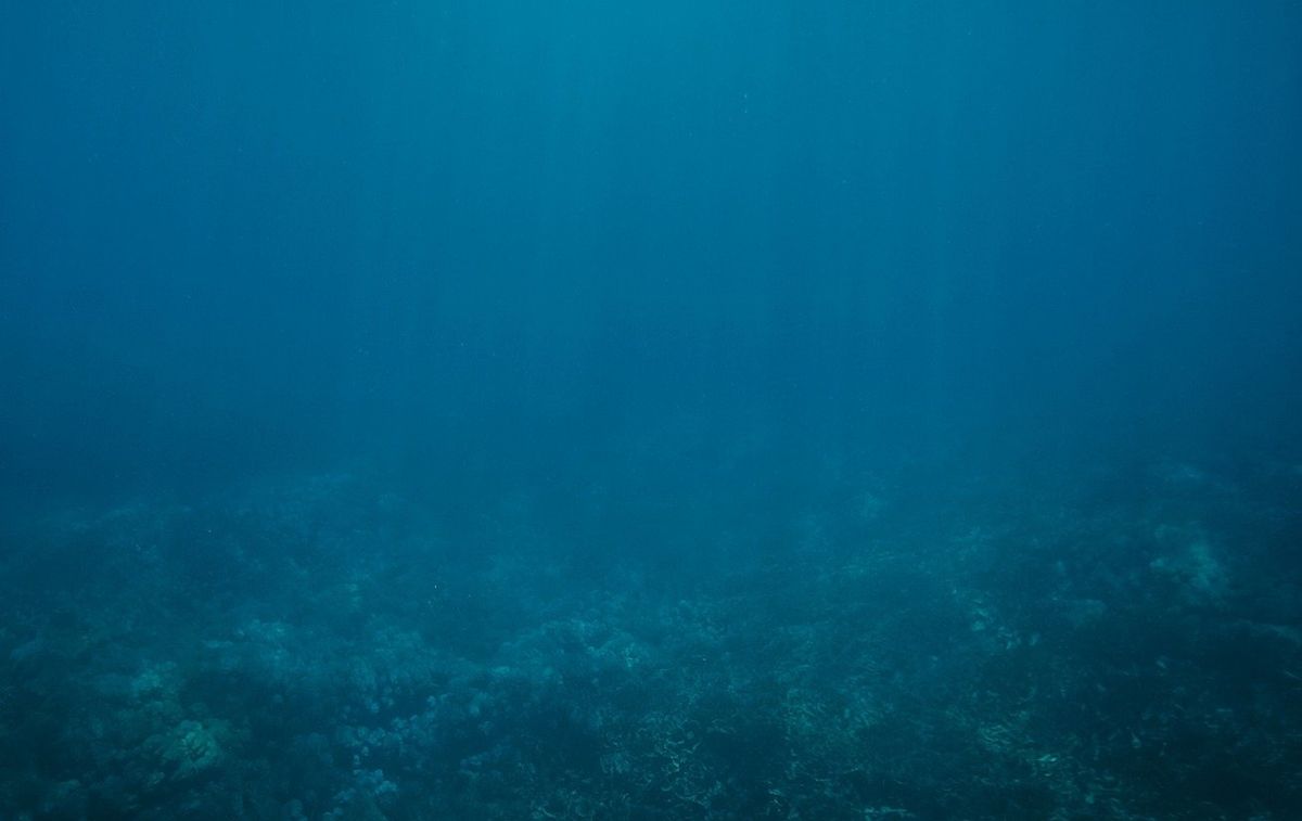 Fondo de pantalla de  1200x757