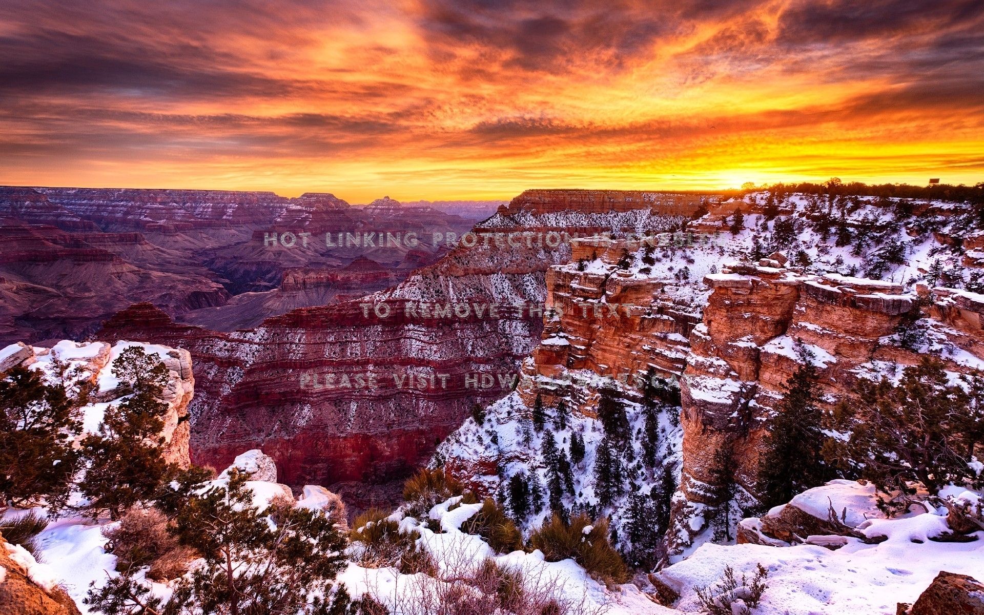 Fondo de pantalla de  1920x1200