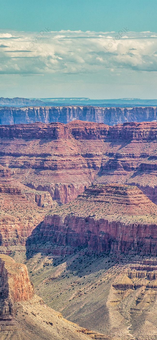 Fondo de pantalla de  650x1407