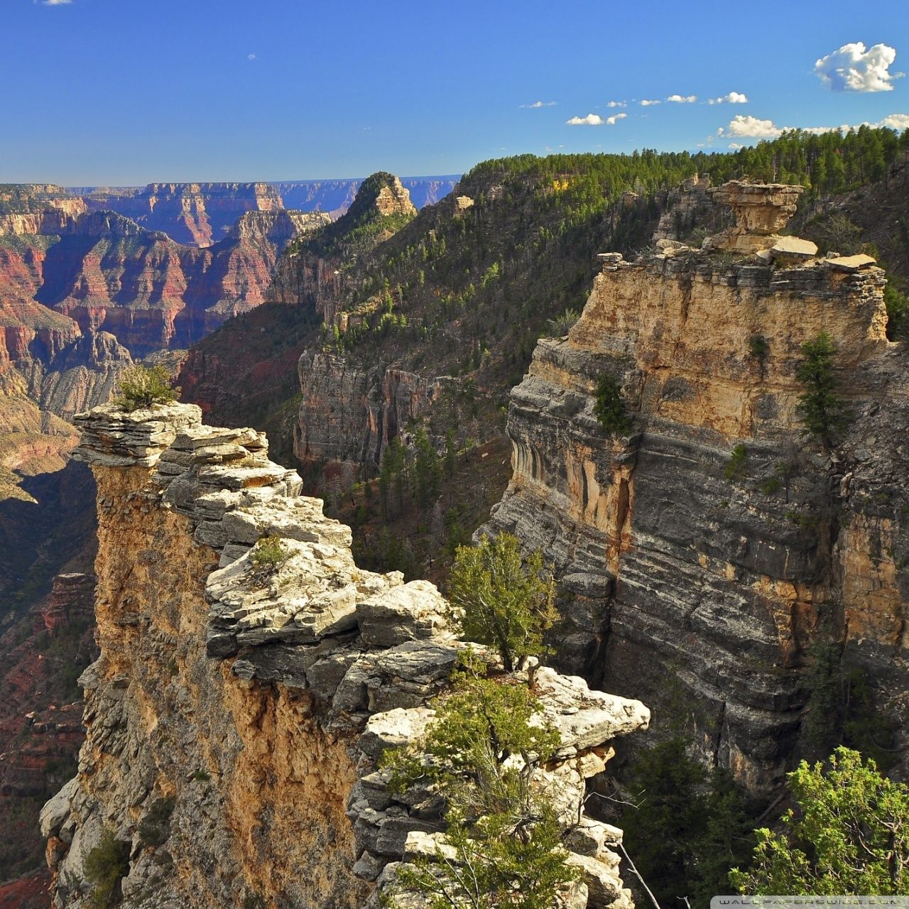 Fondo de pantalla de  1280x1280