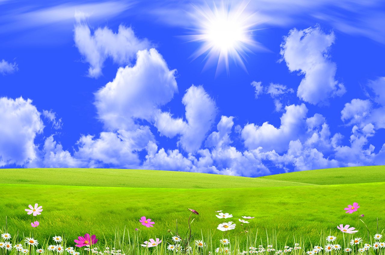 Fondos De Escritorio Naturaleza Cielo Praderas Hierba Nubes