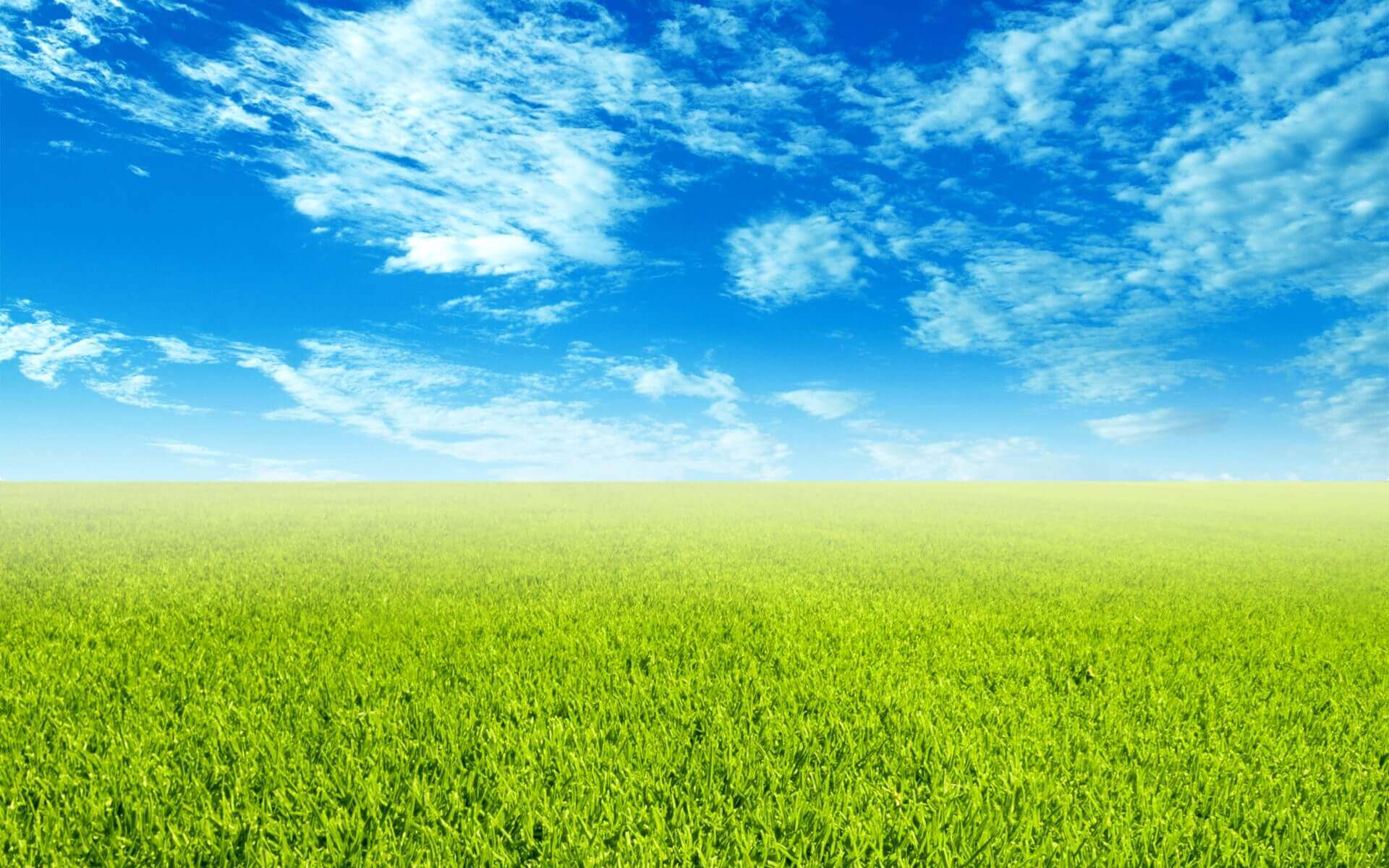 4561471-grass-wallpapers (1) • Village English