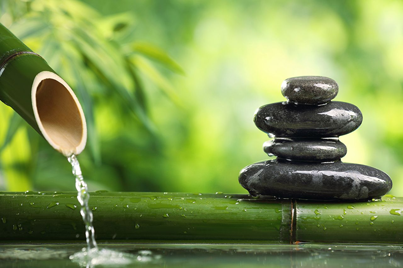 Fondo de pantalla de  1280x853