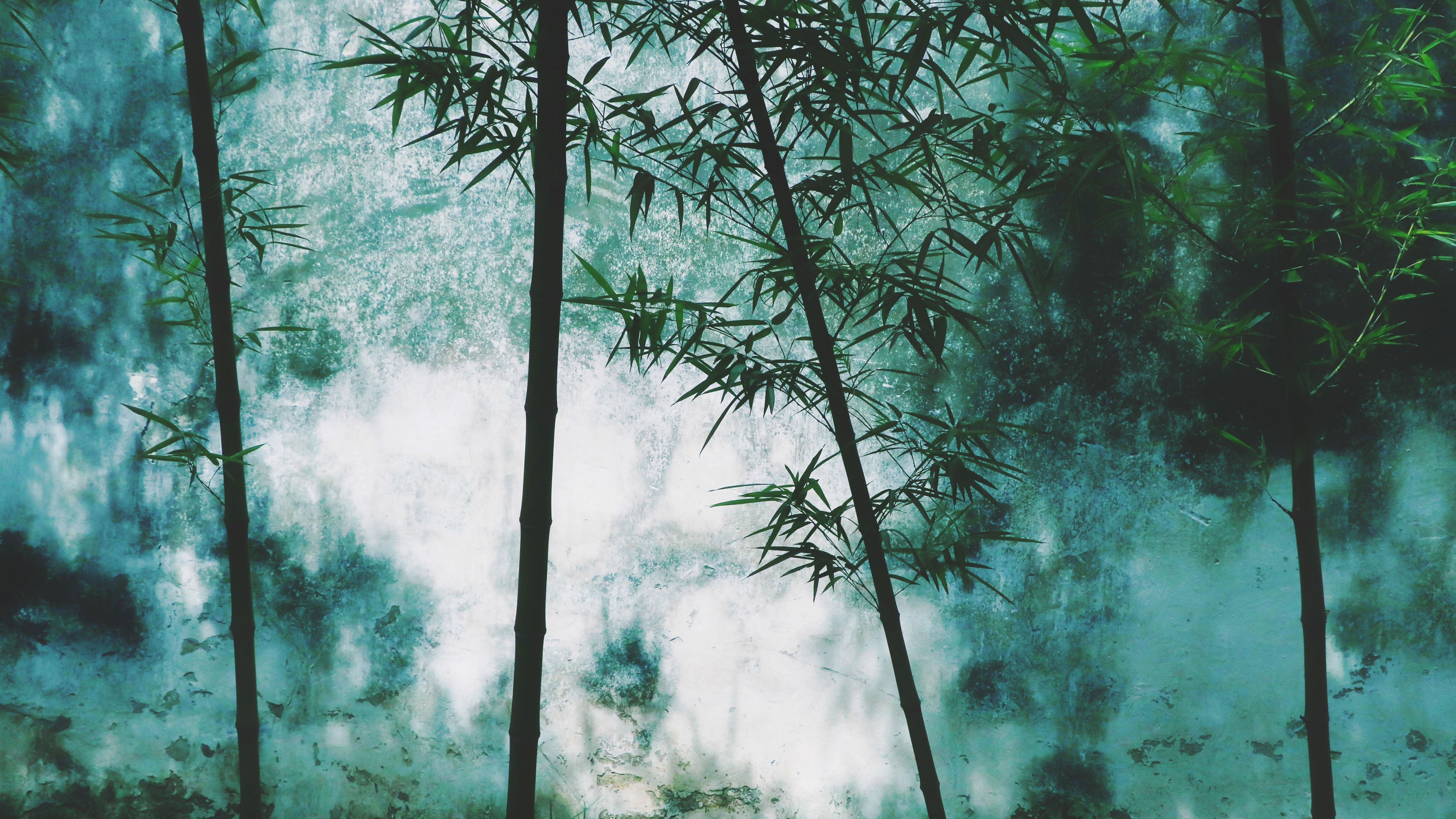 Fondo de pantalla de  5120x2880