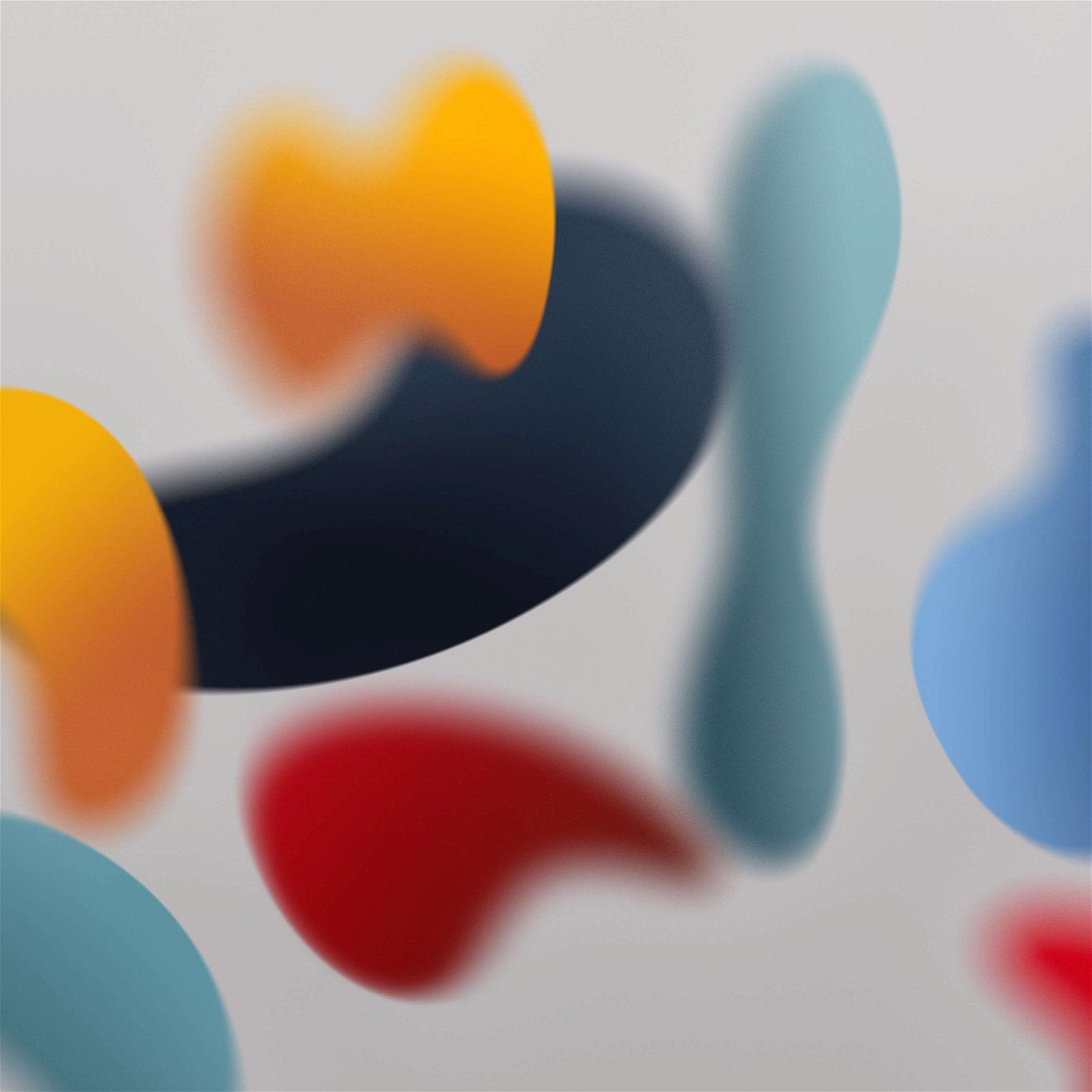 Fondo de pantalla   1600x1600