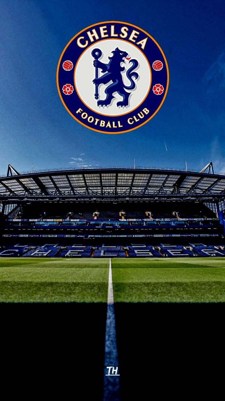 Fondo de pantalla del  736x1308