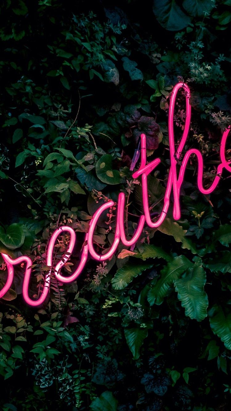 Fondo de pantalla   750x1334