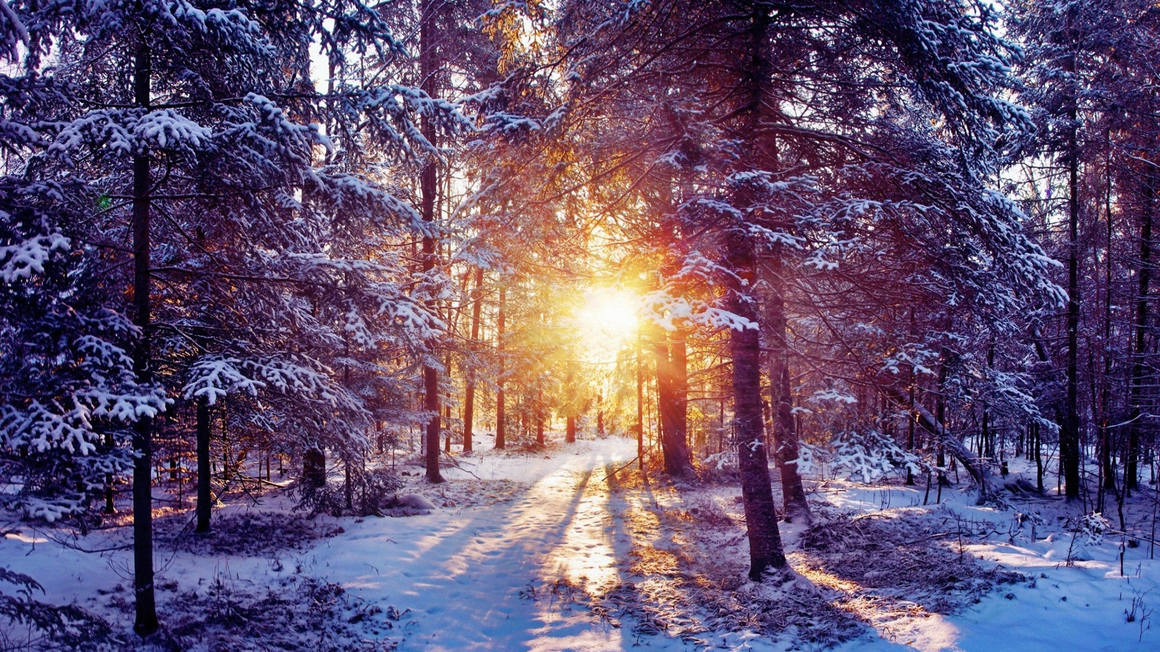 Más de 66 fondos de pantalla 4K Snow