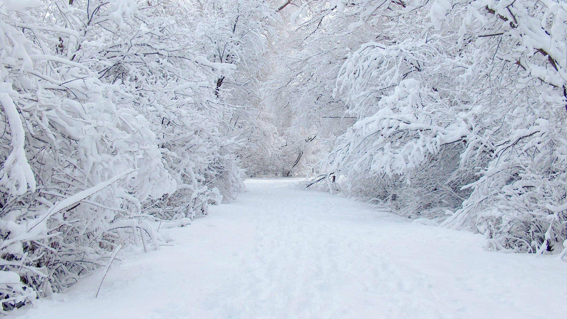 Nieve HD Wallpapers - Fondo de pantalla de la cueva