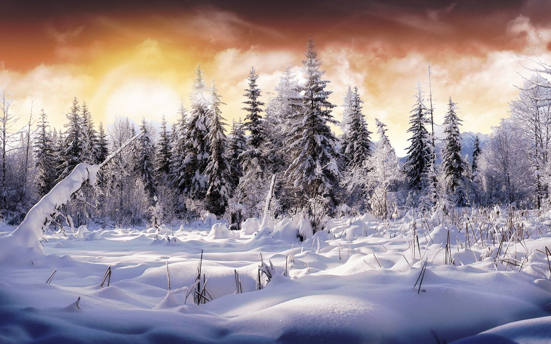 4610 Snow Fondos de pantalla HD | Imágenes de fondo