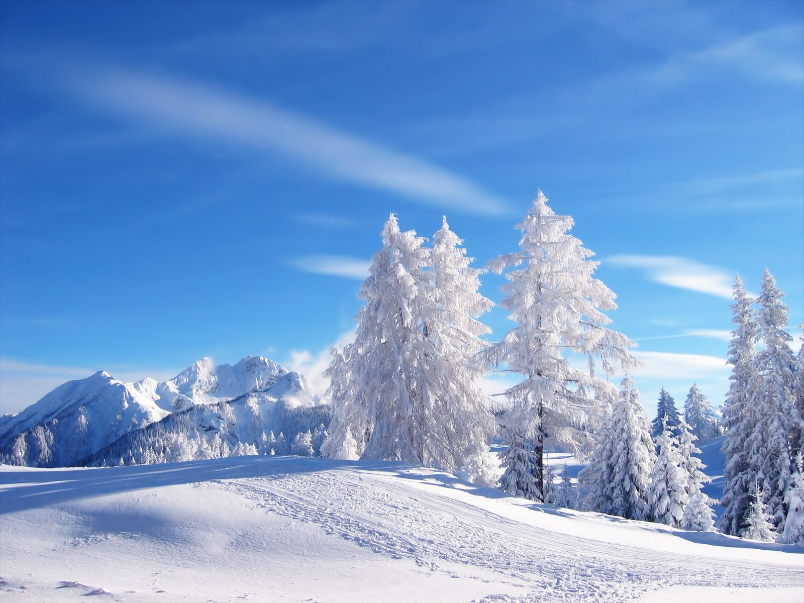 Fondos de nieve 4K (1600x1200) | WallpapersExpert.com