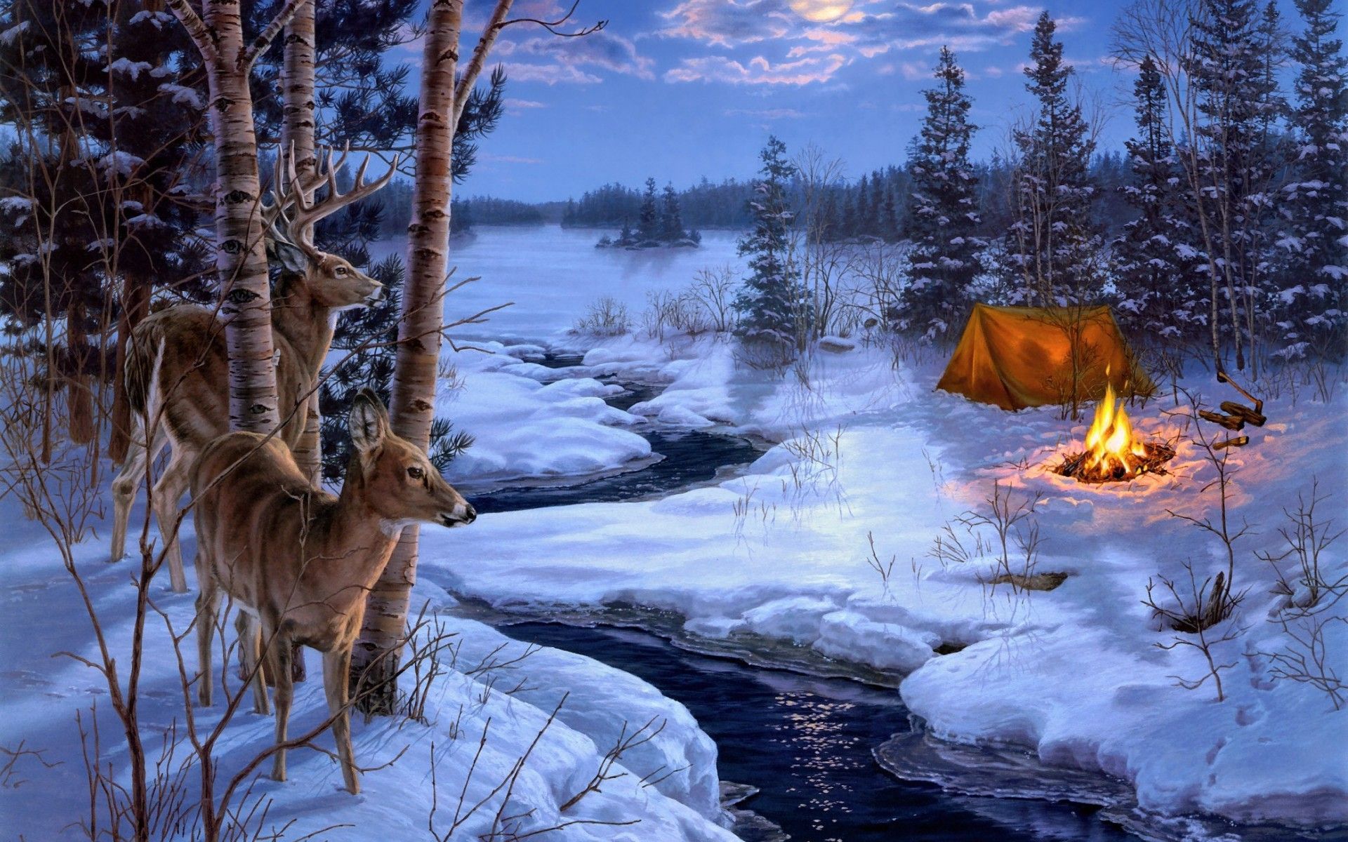Más de 65 fondos de pantalla de Deer in Winter Snow - Descarga