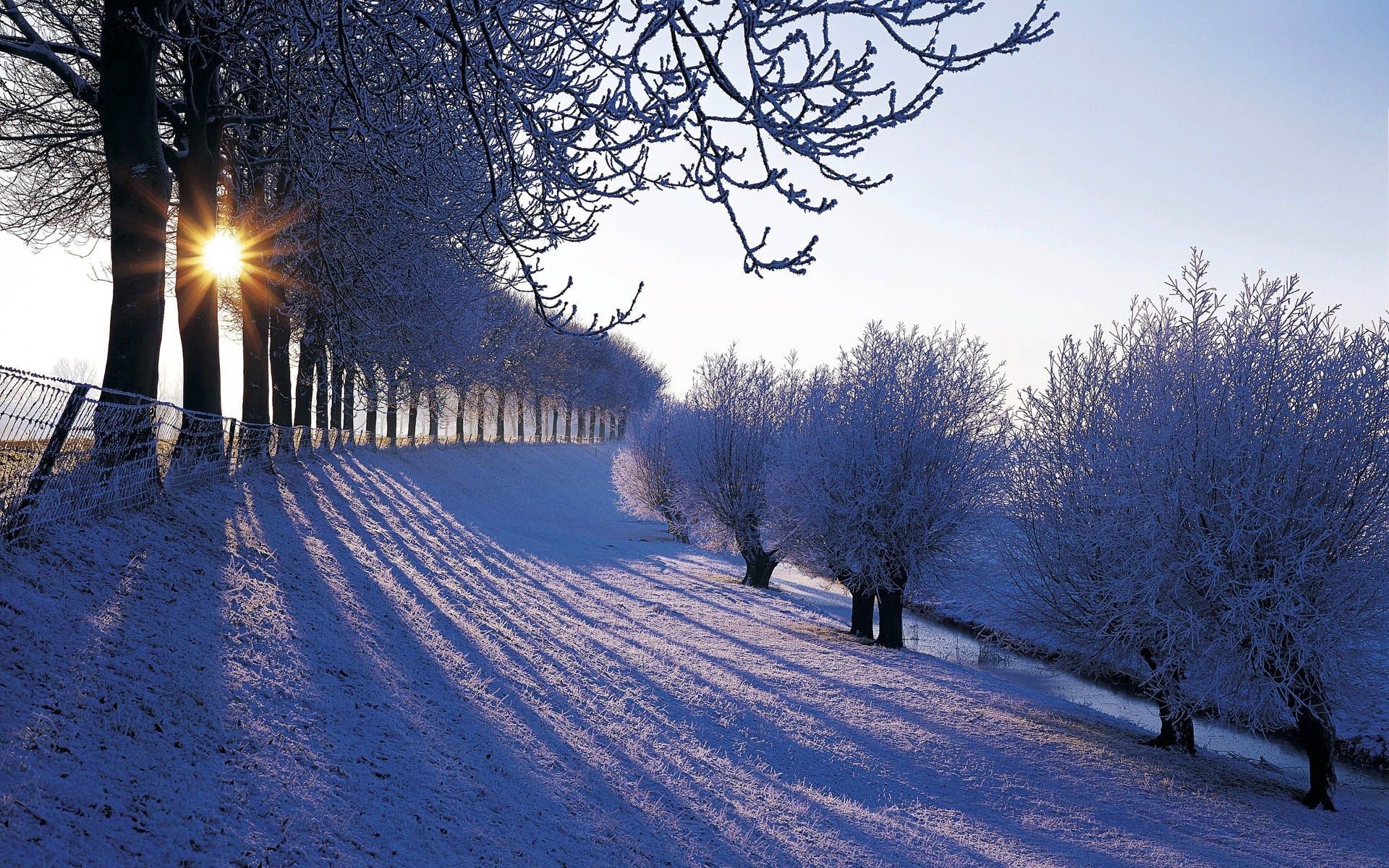 Fondos de nieve Descargar gratis Descargar imágenes de fondo Windows
