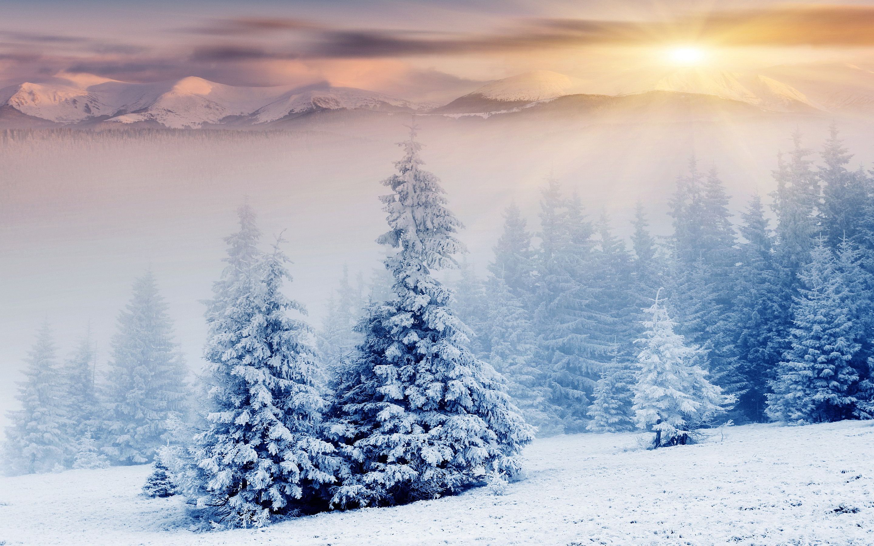 Ultra HD Fondos de nieve # 1L6X972 - 4USkY