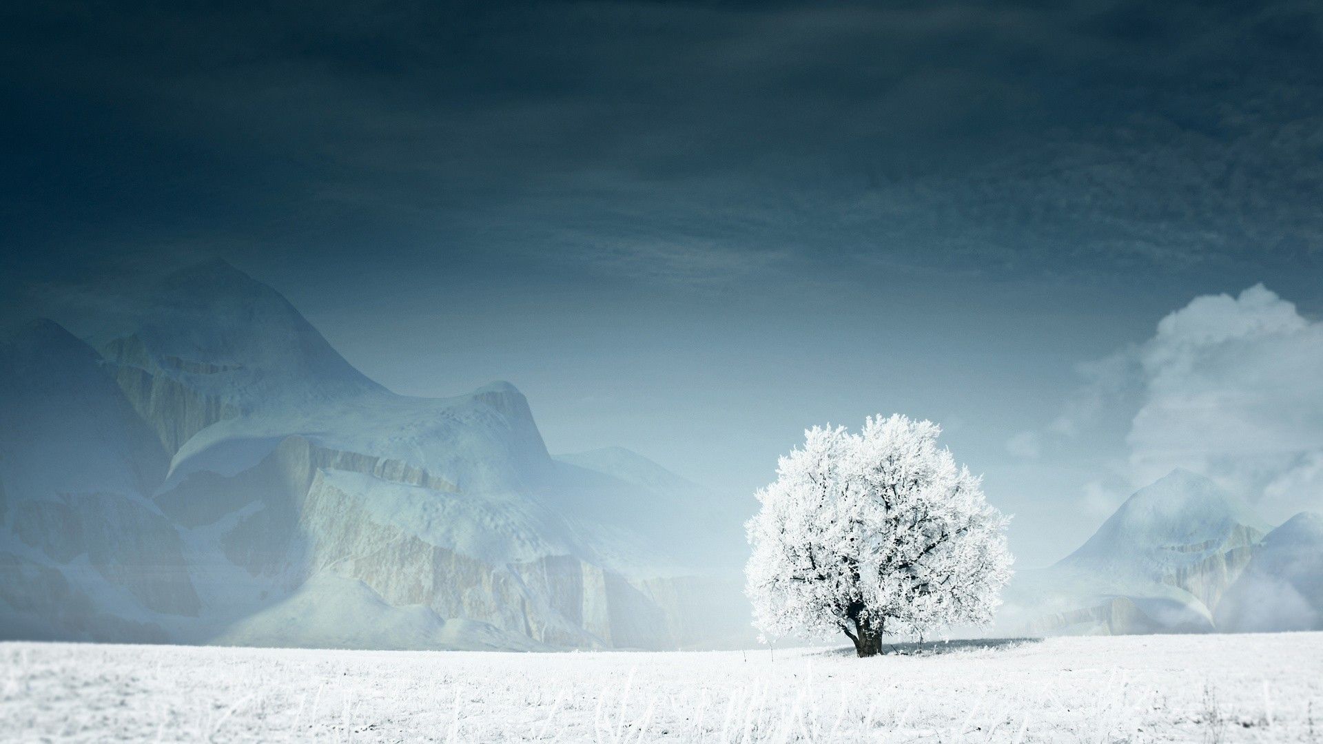 El mejor fondo de pantalla de nieve: papel tapiz, alta definición, alta calidad