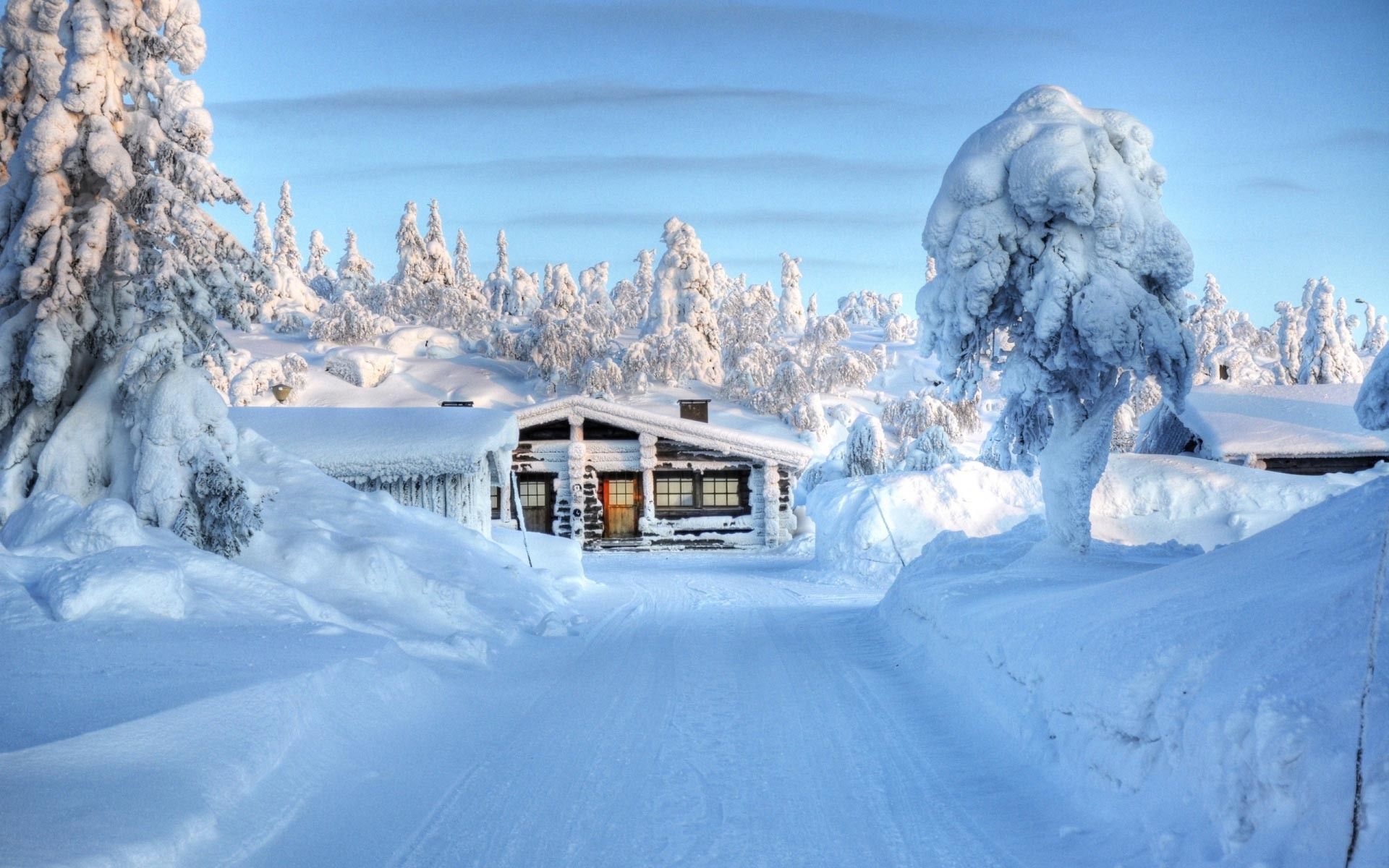 Night Lamps - Fondos de escritorio gratis - Snow Wallpaper Hd Widescreen