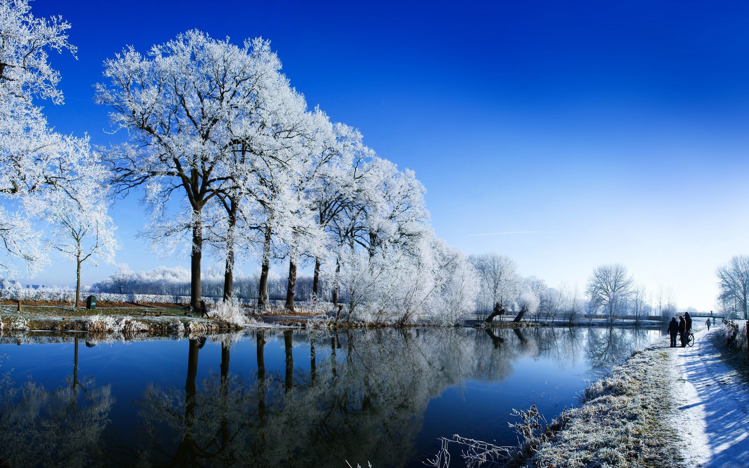 Invierno y Nieve Wallpaper