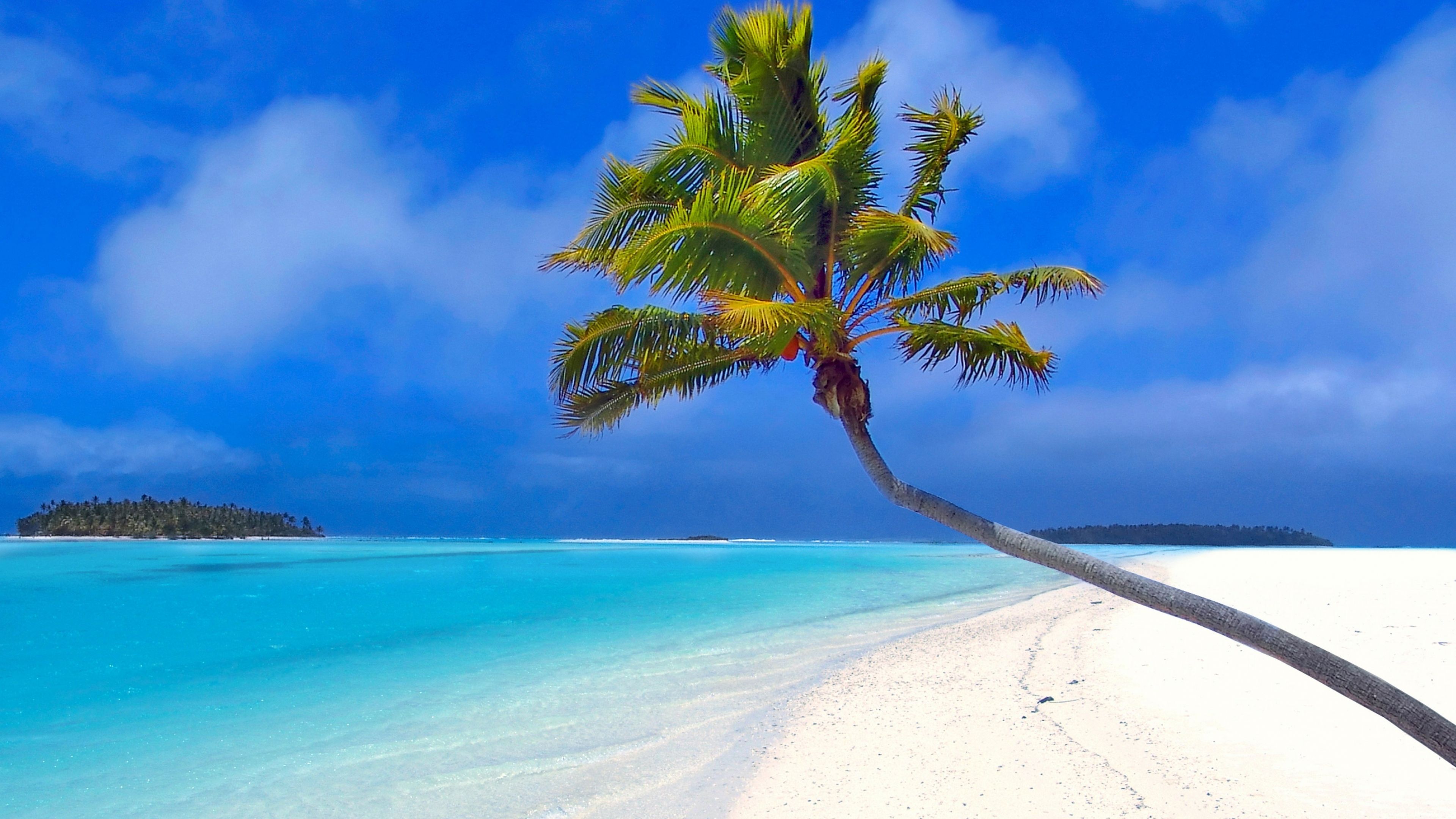 Fondo de pantalla de  3840x2160
