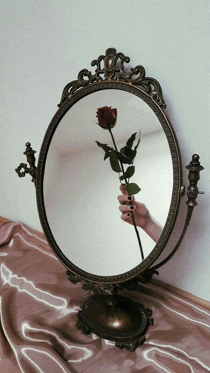 Fondo de pantalla de espejo 736x1308