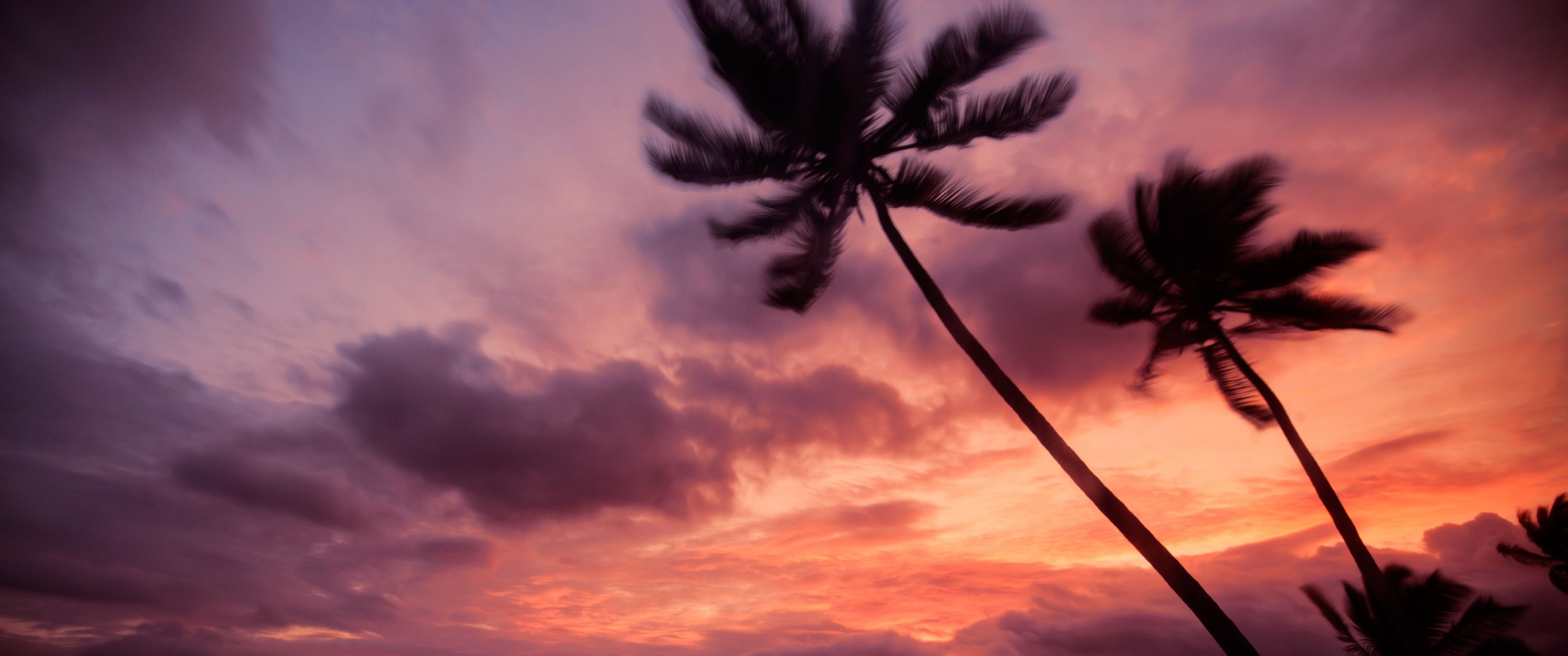 Fondo de pantalla de  3440x1440