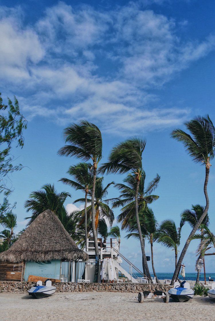 Fondo de pantalla de  750x1122