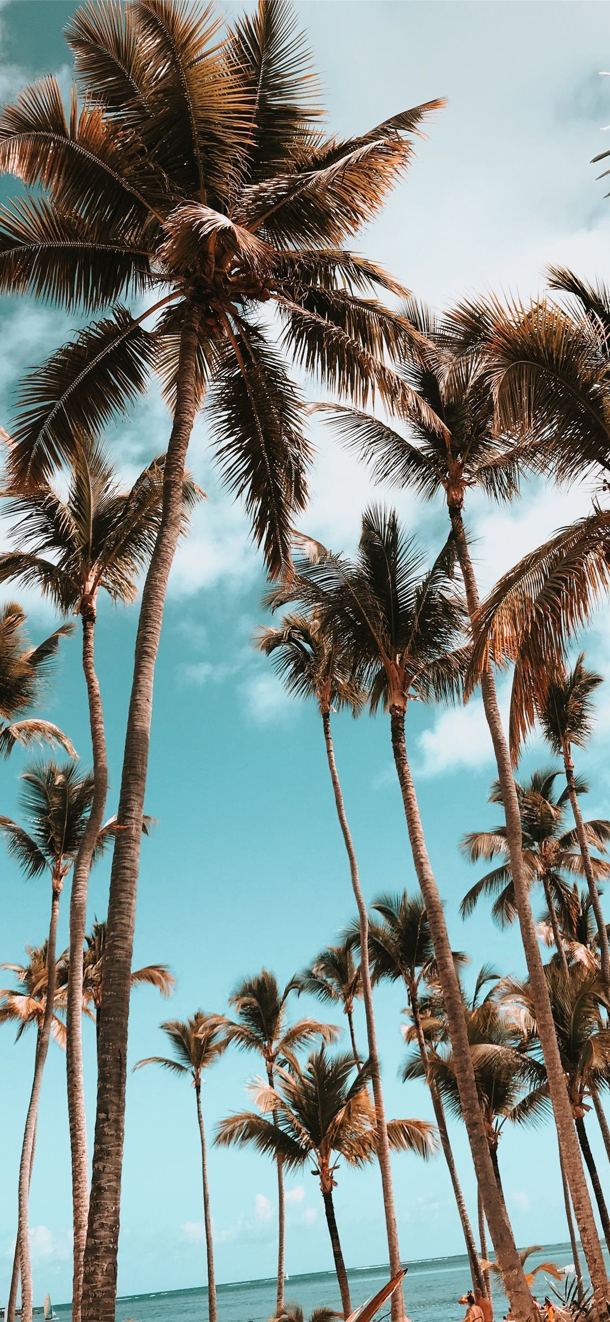 Fondo de pantalla de  1242x2688