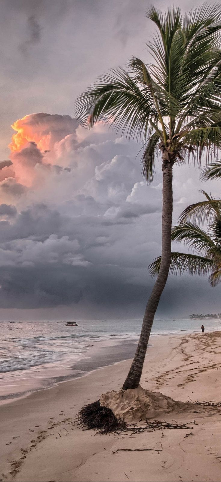 Fondo de pantalla de  735x1600