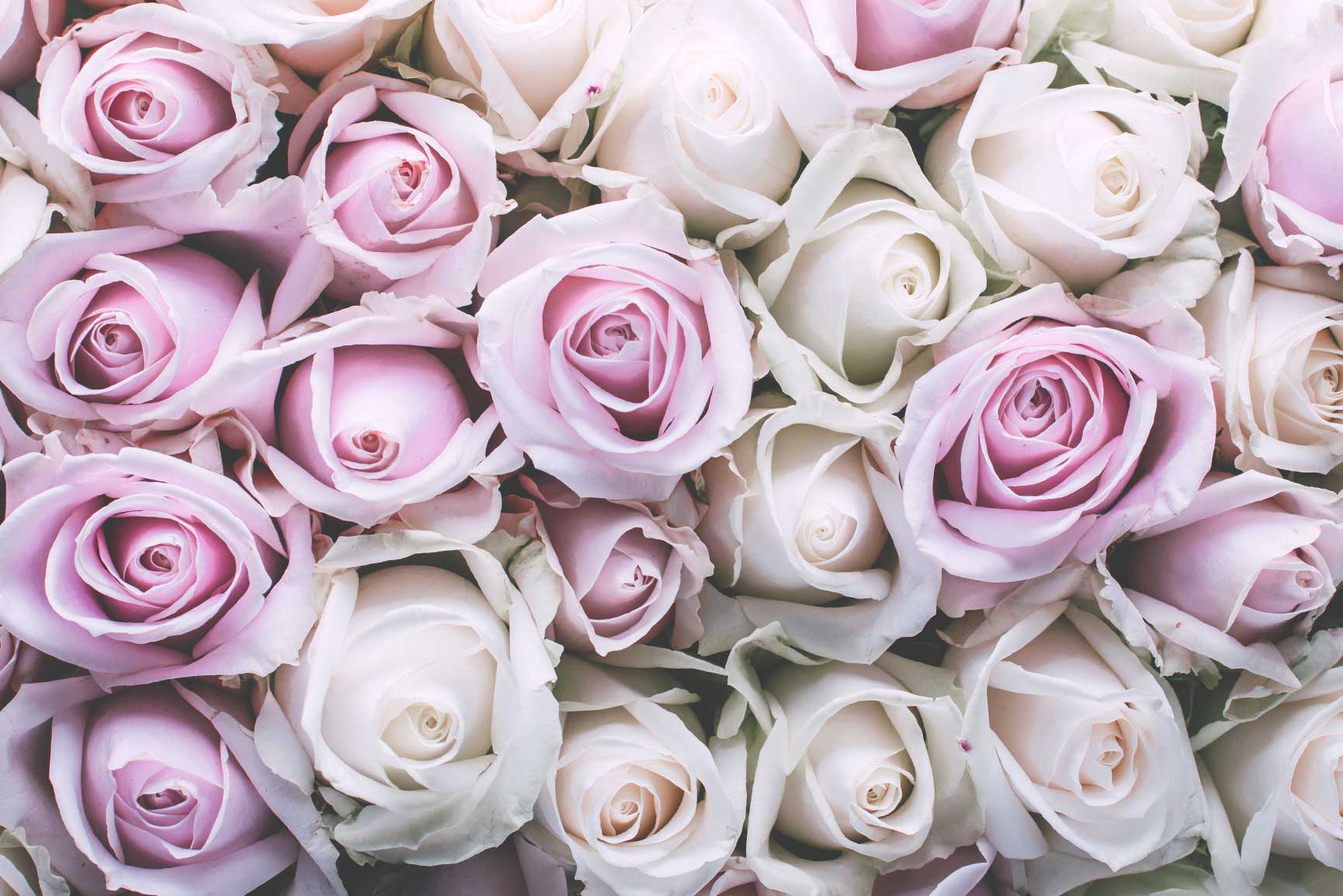 Vintage floral iPhone Collection Colección | Preppy Wallpapers