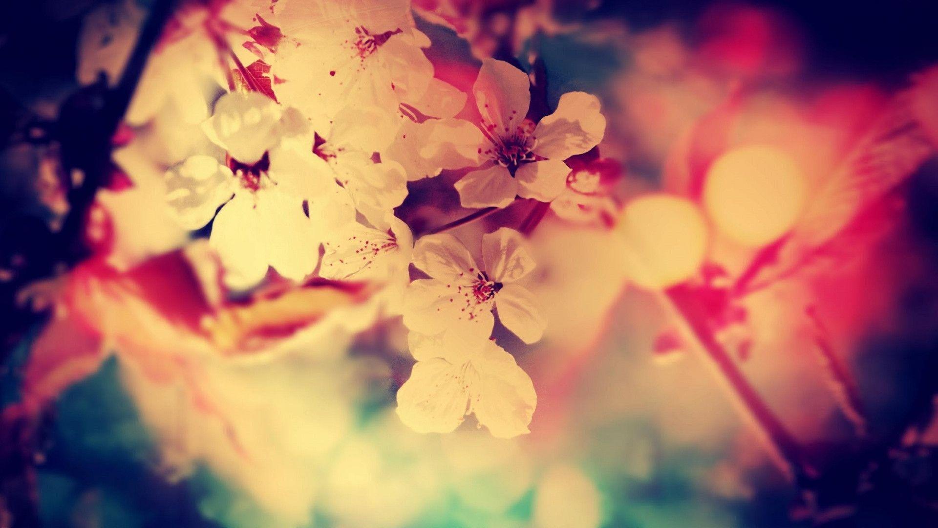 Vintage Flowers Wallpapers