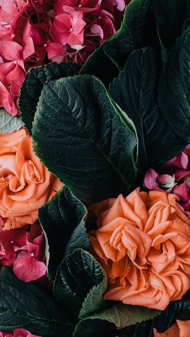 Vintage floral iPhone Collection Colección | Preppy Wallpapers