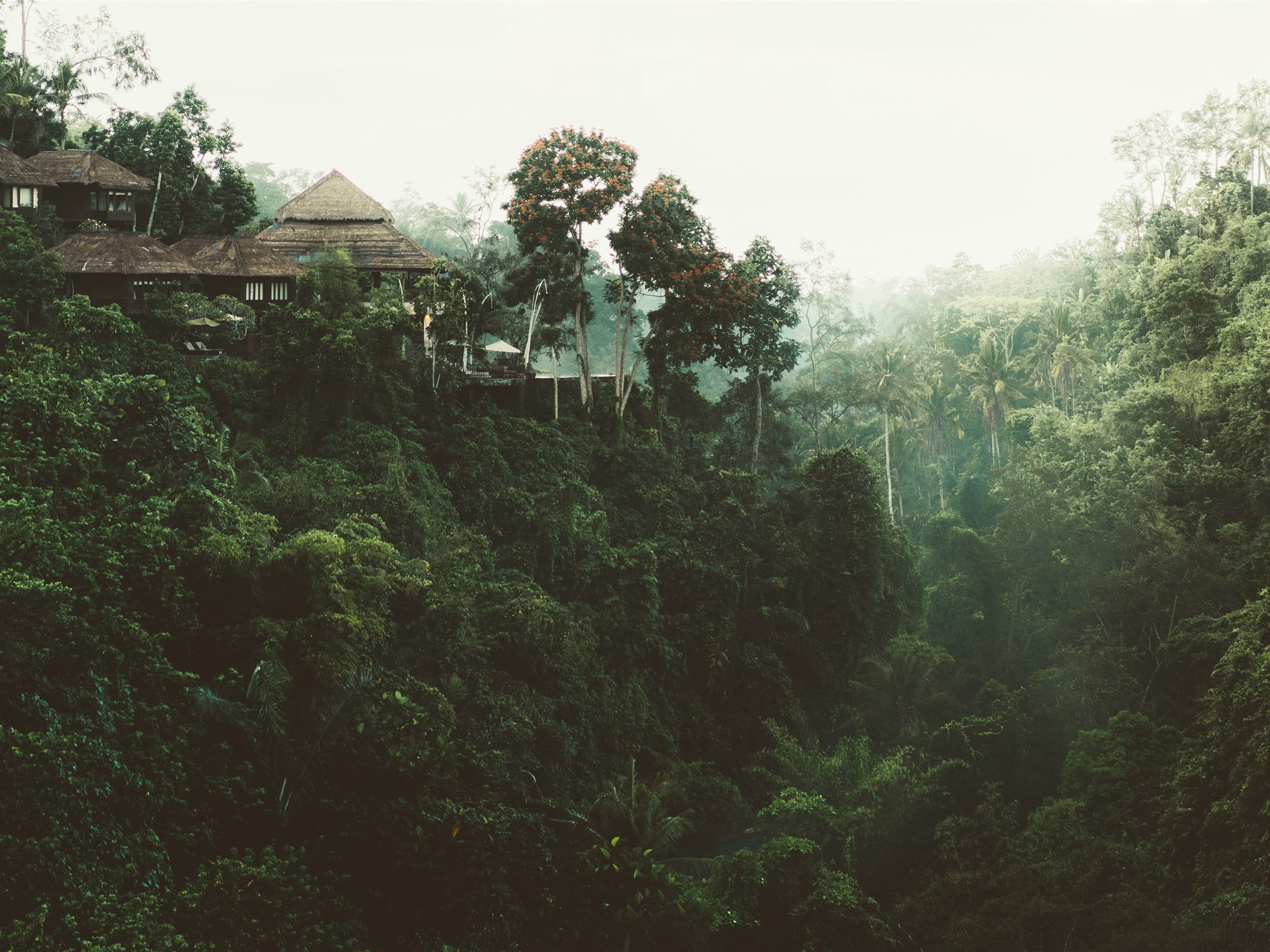 Fondo de pantalla de  2560x1920