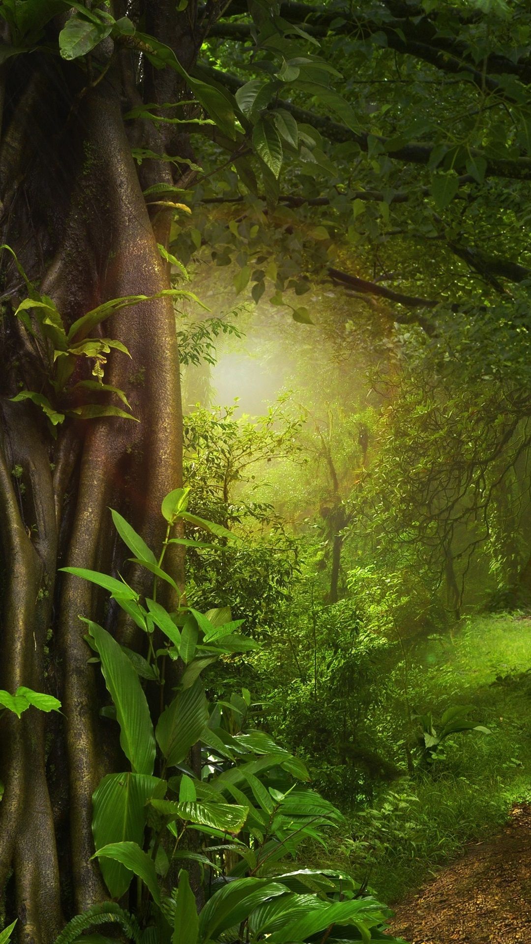 Fondo de pantalla de  1080x1920