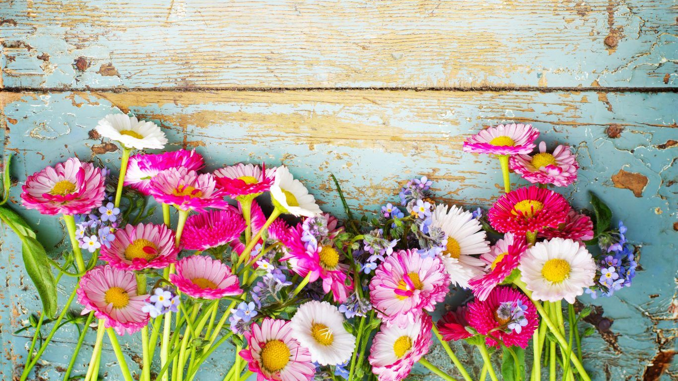 Fondo de escritorio de flores vintage Galería