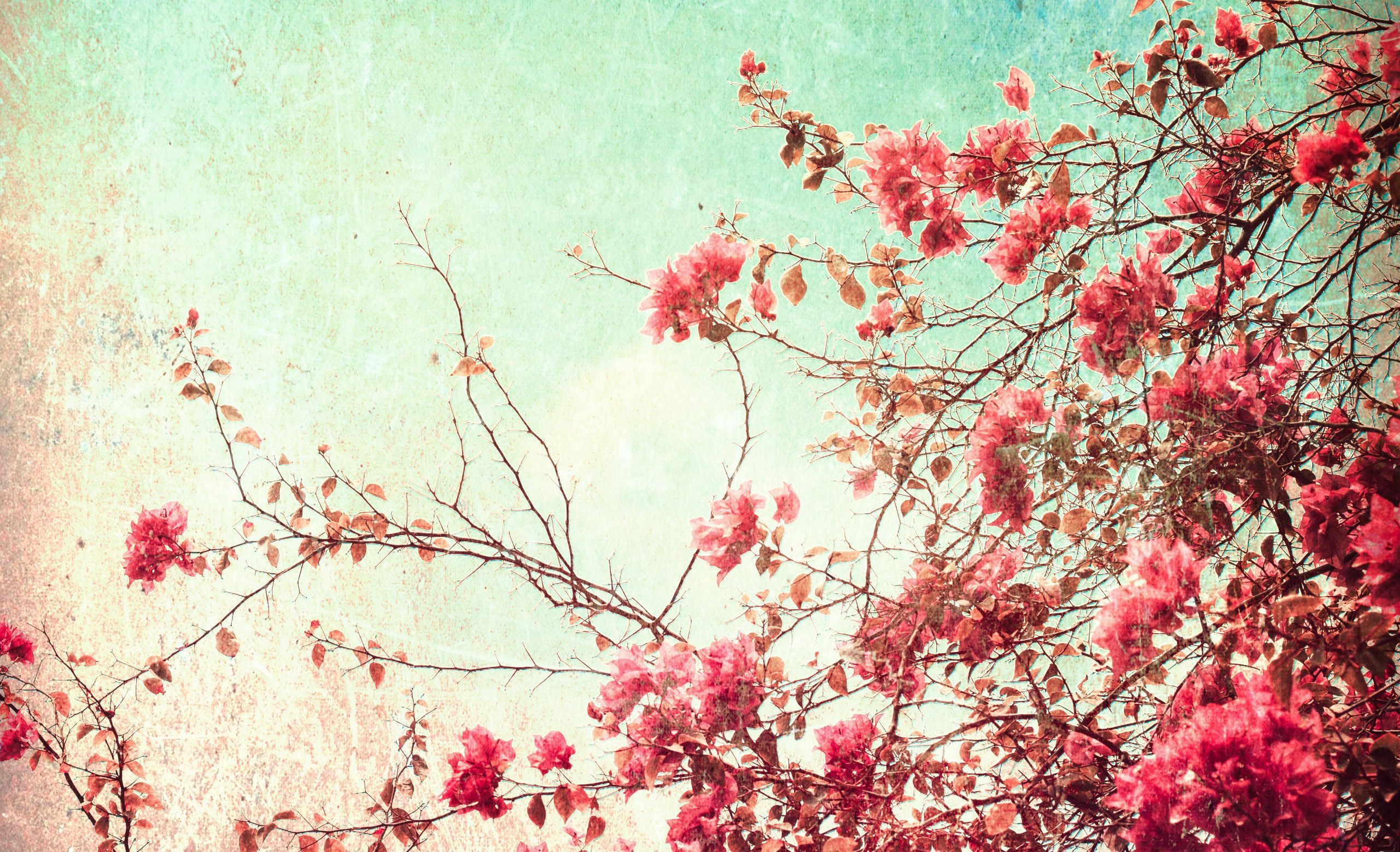 Vintage Flowers Computer Wallpaper