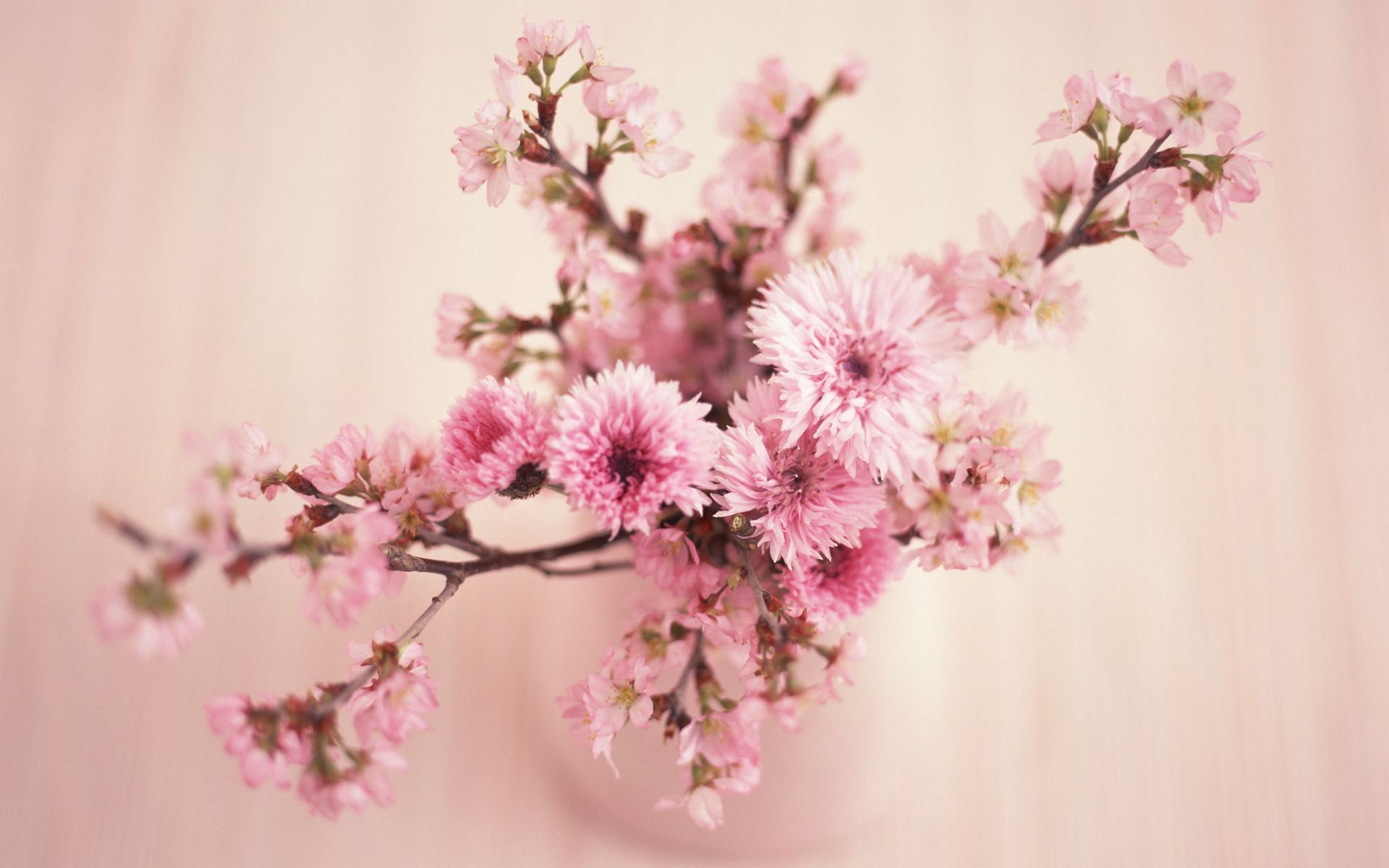 Vintage Flowers Wallpaper HD 6883 1920 x 1200 - WallpaperLayer.com
