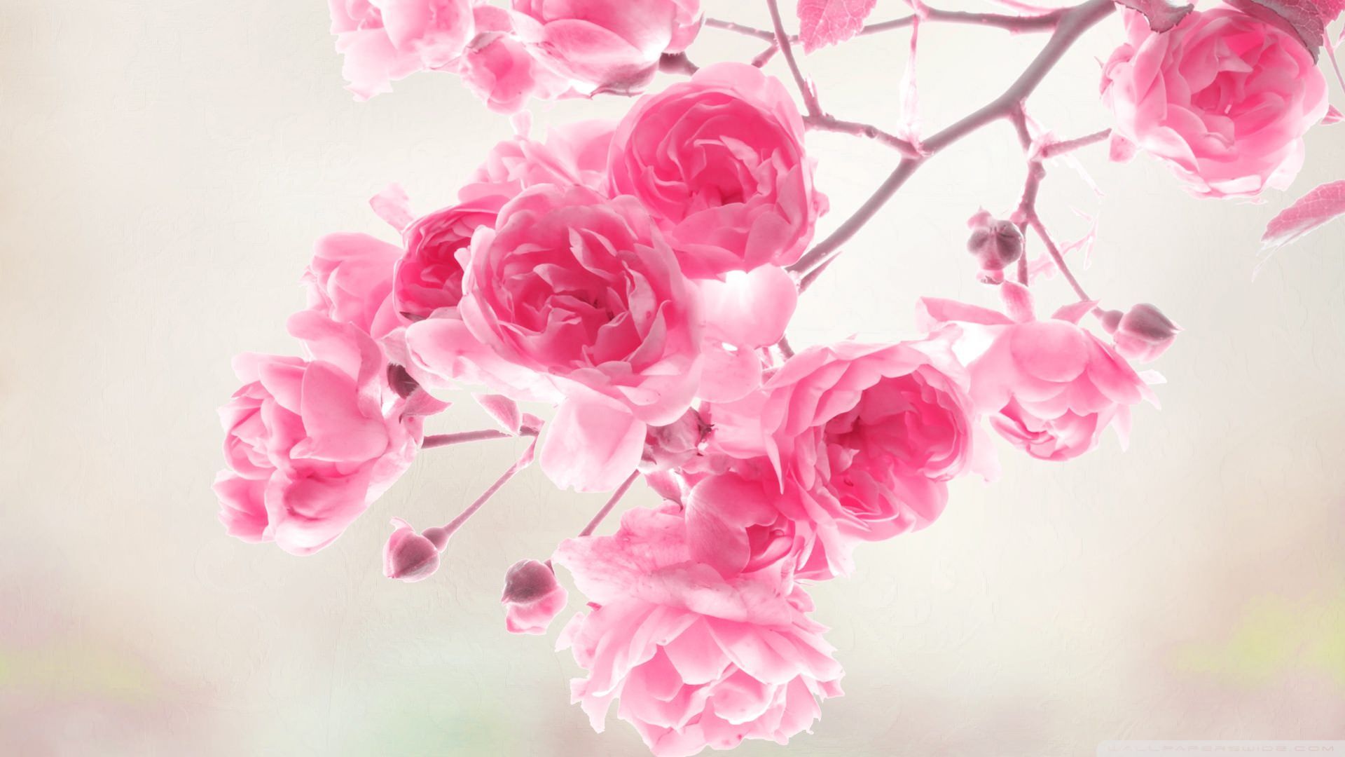 Vintage Flower Wallpaper (más de 50 imágenes)