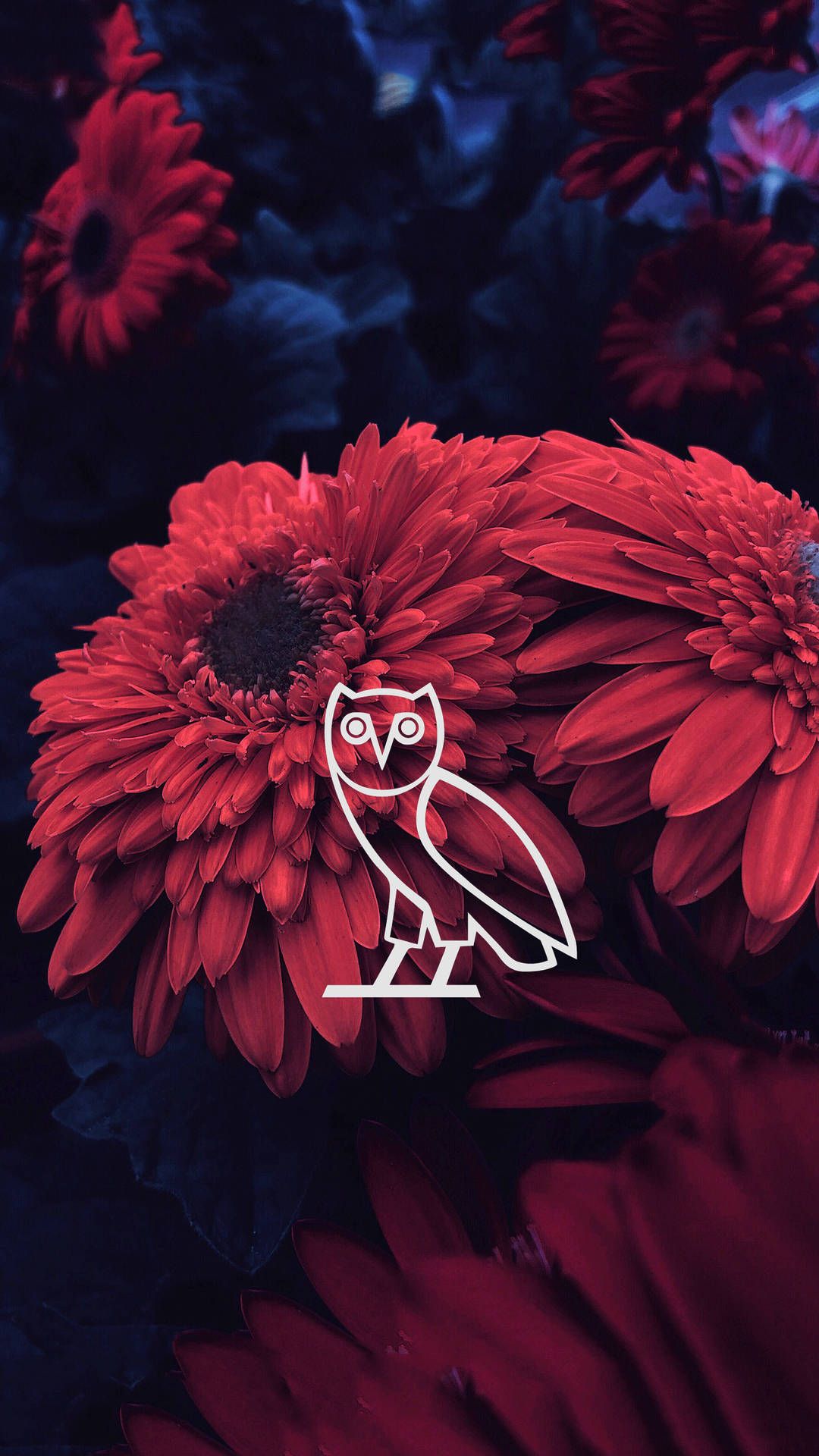 Fondo de pantalla de  1080x1920