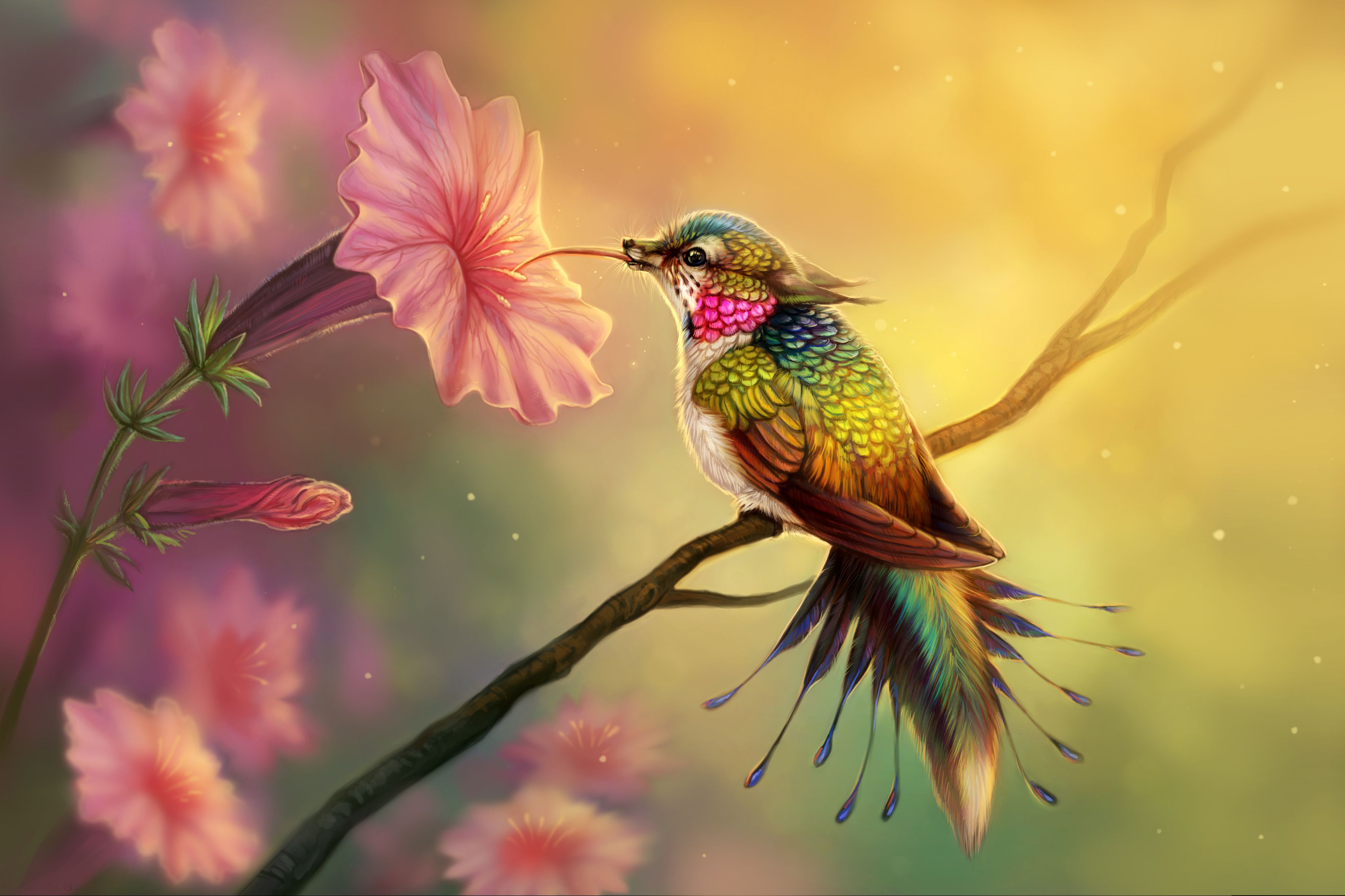 Fondo de pantalla de  3543x2362