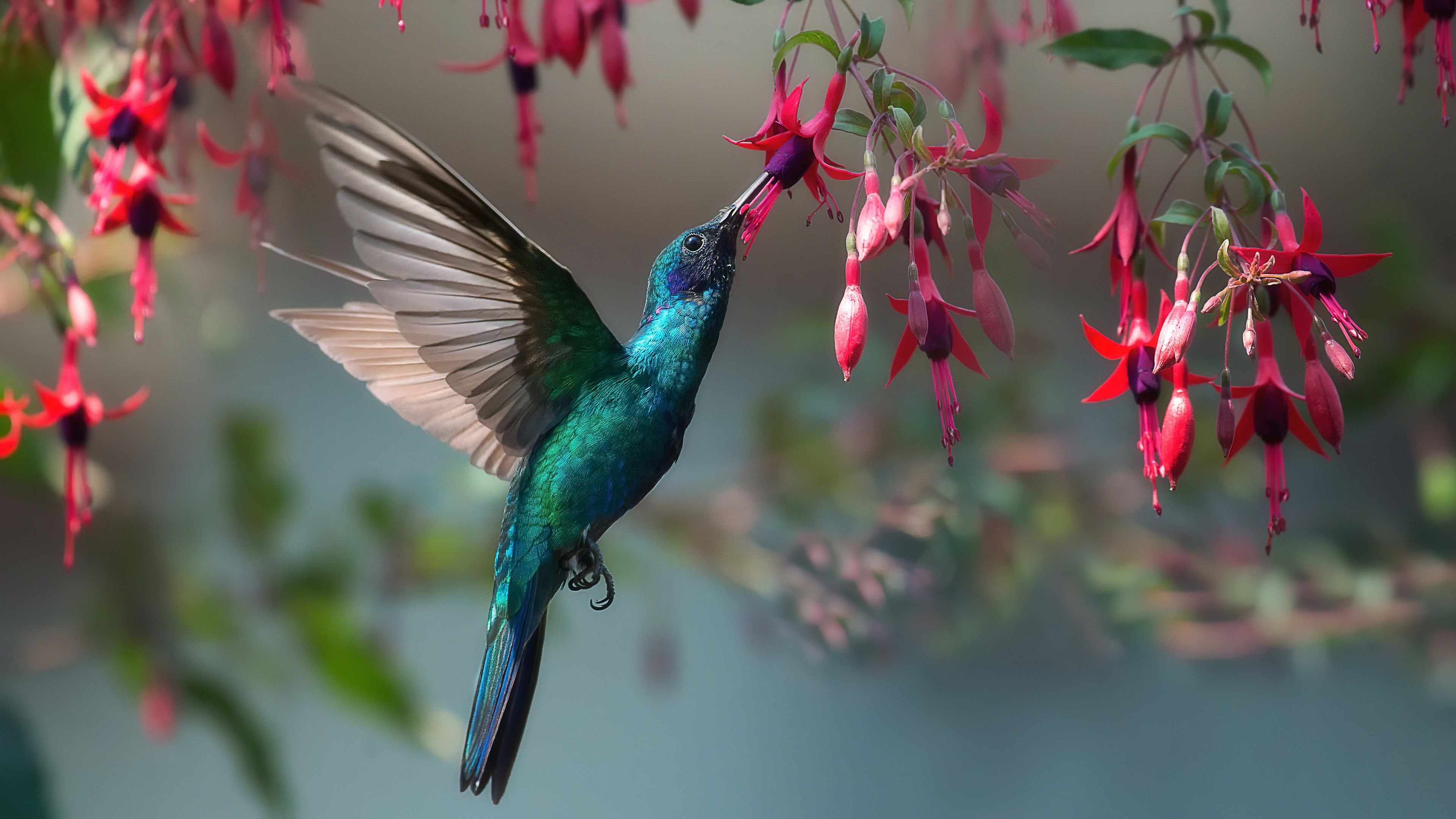 Fondo de pantalla de  3840x2160