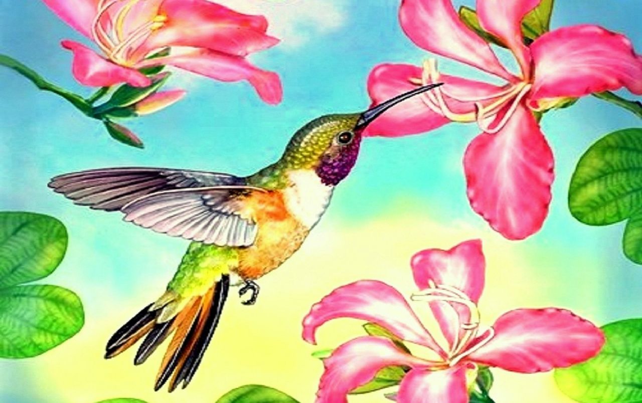 Fondo de pantalla de  1280x804