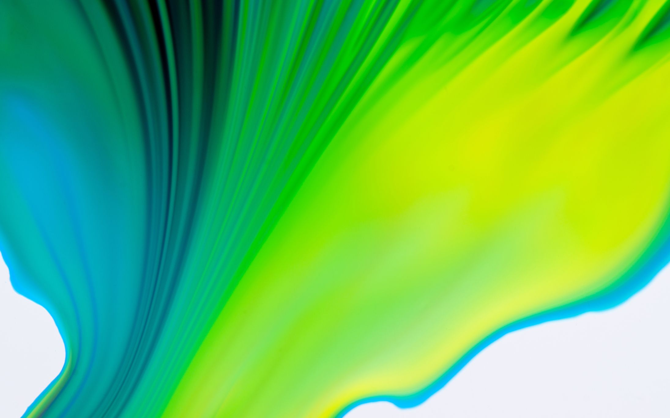 Fondo de pantalla de  2190x1369