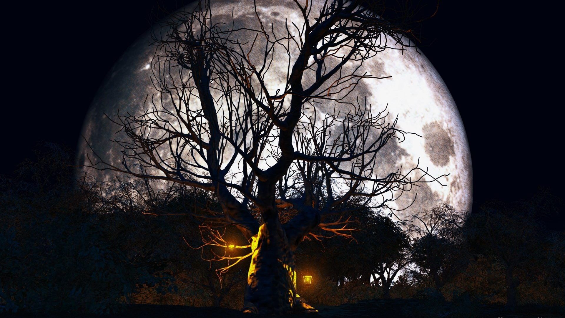 Fondo de pantalla de  1920x1080