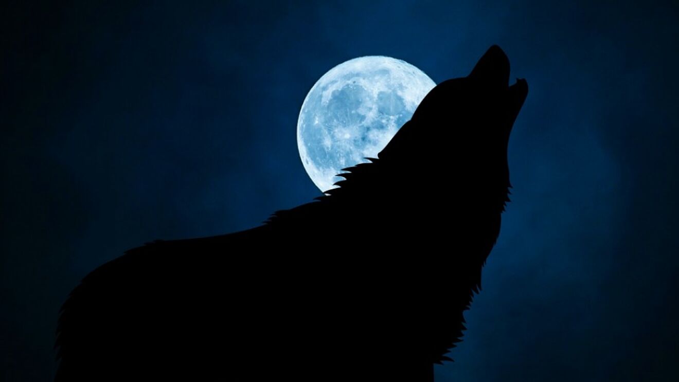 Fondo de pantalla de  1320x743