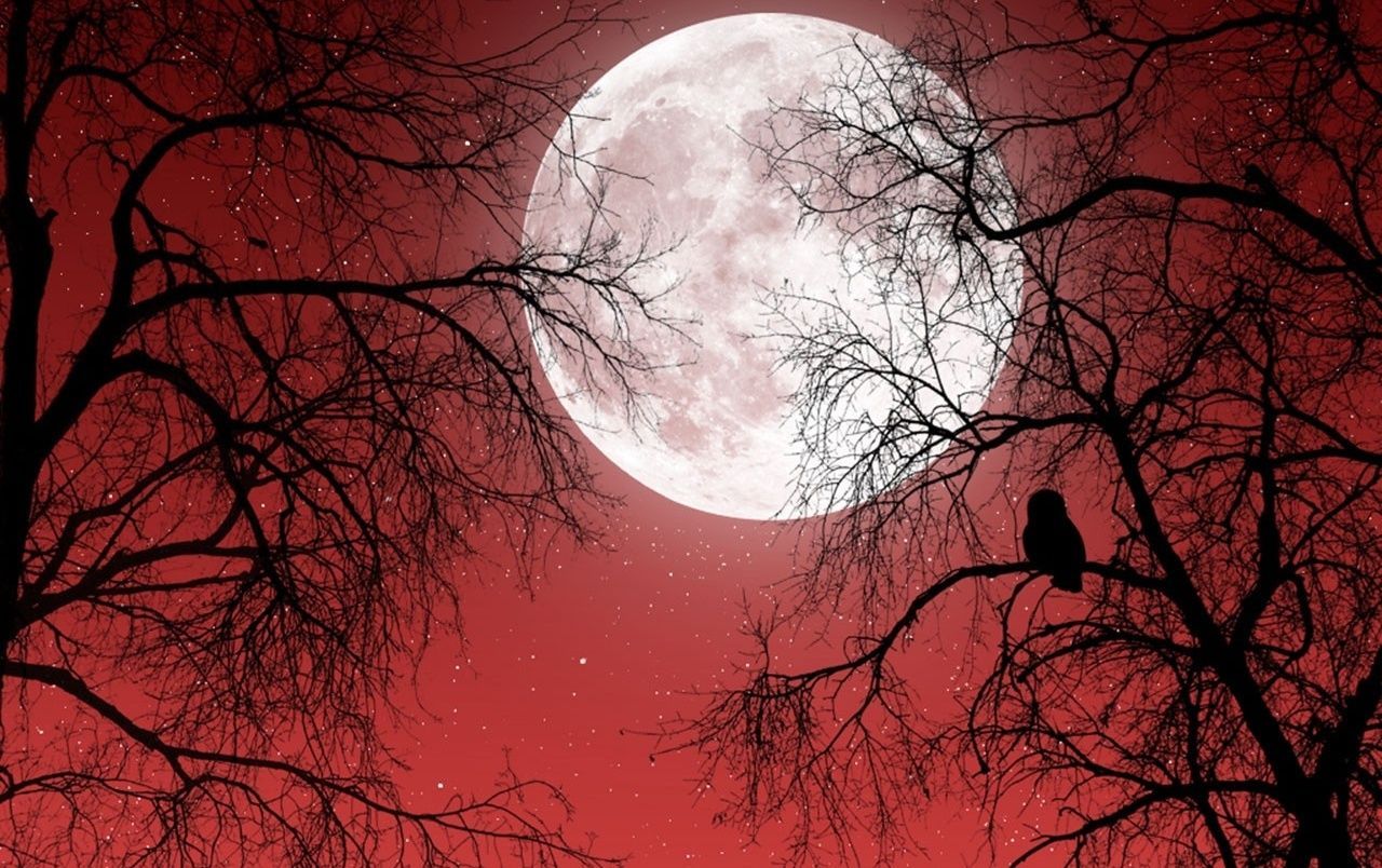 Fondo de pantalla de  1280x804